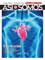 Así Somos - El cuerpo humano
